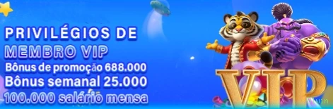 Conta Blwin sincronizada site e app